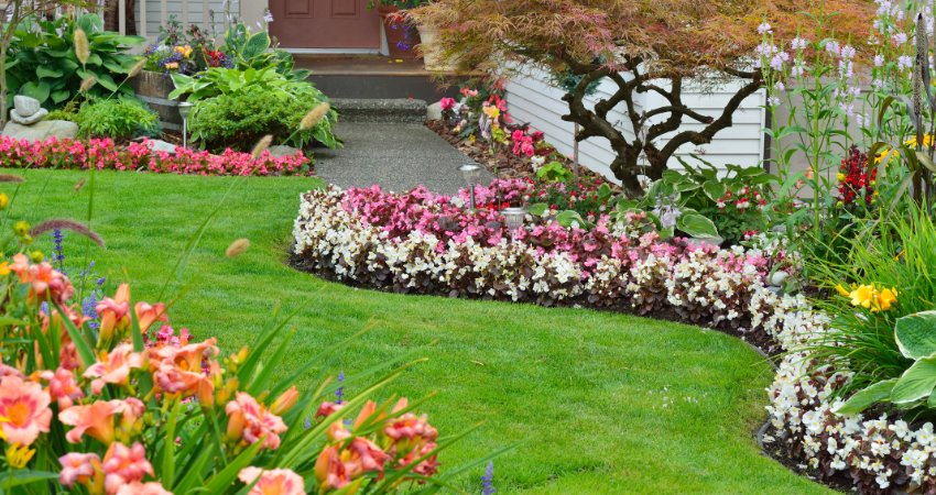 Small Front Garden Ideas For Every Budget